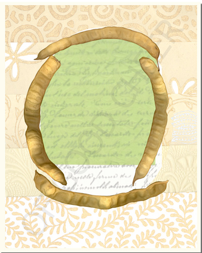 blank card