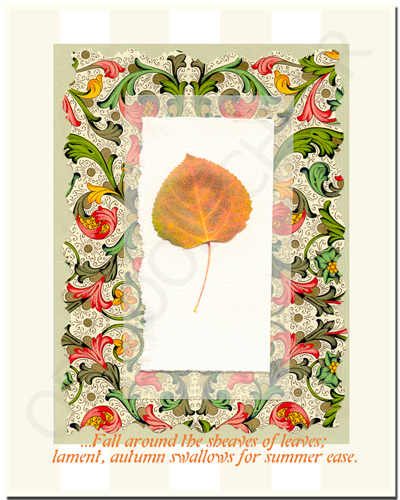 blank card